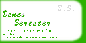 denes serester business card